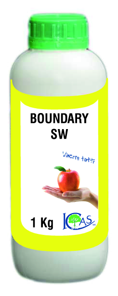 BOUNDARYSW1